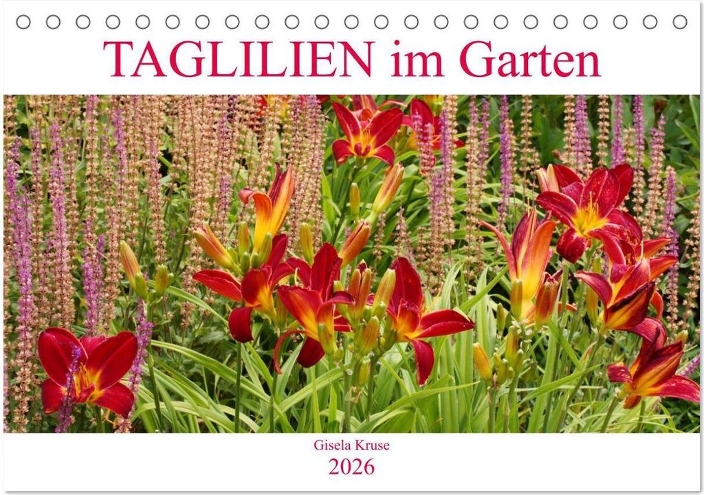 Taglilien im Garten (Tischkalender 2026 DIN A5 quer), CALVENDO Monatskalender