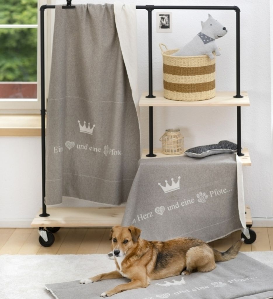 A dog is lying on a blanket in front of a shelf unit displaying pet accessories.