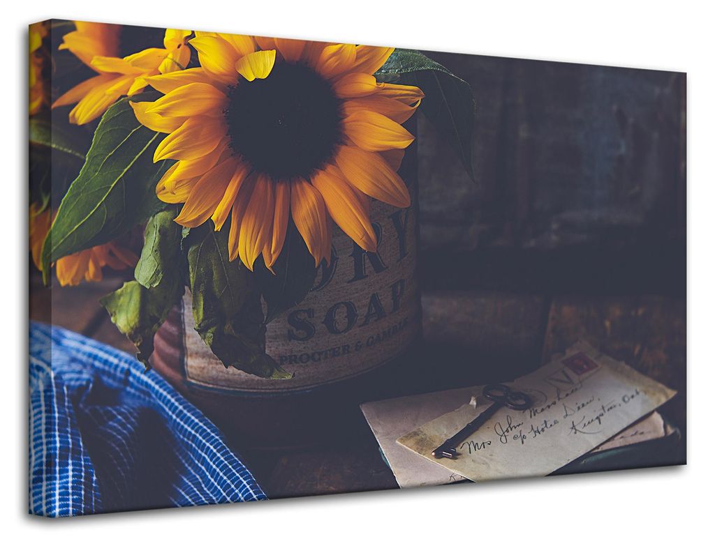 Leinwanddruck Sonnenblumen Vintage 80x50