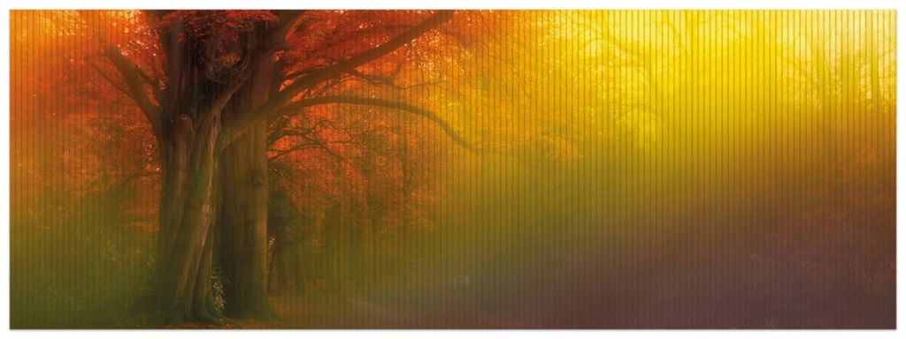Wallario Duschmatte Antirutschmatte Badmatte Fußmatte Bunter Herbst - Waldlandschaft bei Nebel in Regenbogenfarben, Größe ca. 180 x 65 cm