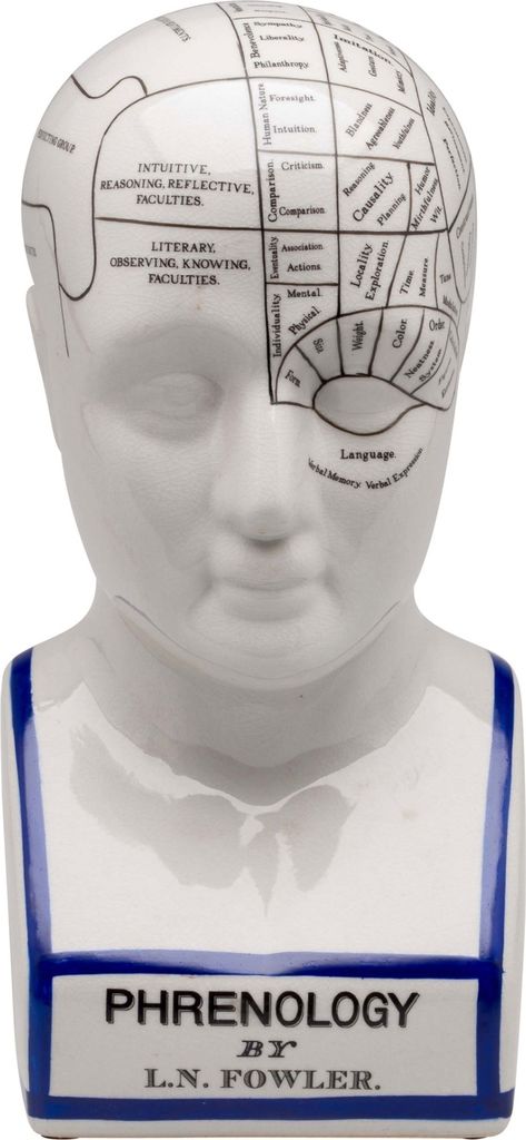 Großer 30cm Phrenologie Kopf Büste Anatomie Heilpraktiker Arzt Medizin Fowler