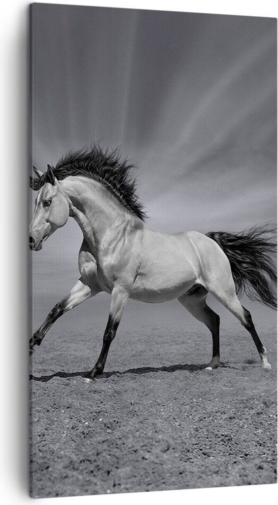 Bild auf Leinwand - Leinwandbild - Pferd Tier Natur - 45x80cm - Wand Bild - Wanddeko - Wandbilder - Leinwanddruck - Bilder - Kunstdruck - Wanddekor...