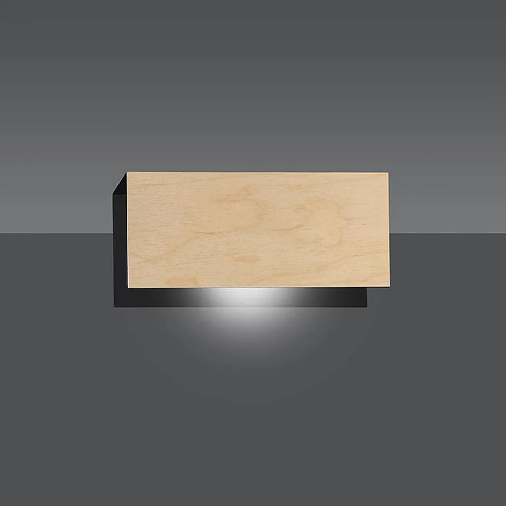 Applique Murale Noir Robuste CARLO K1 - Éclairage Intérieur Durable E27