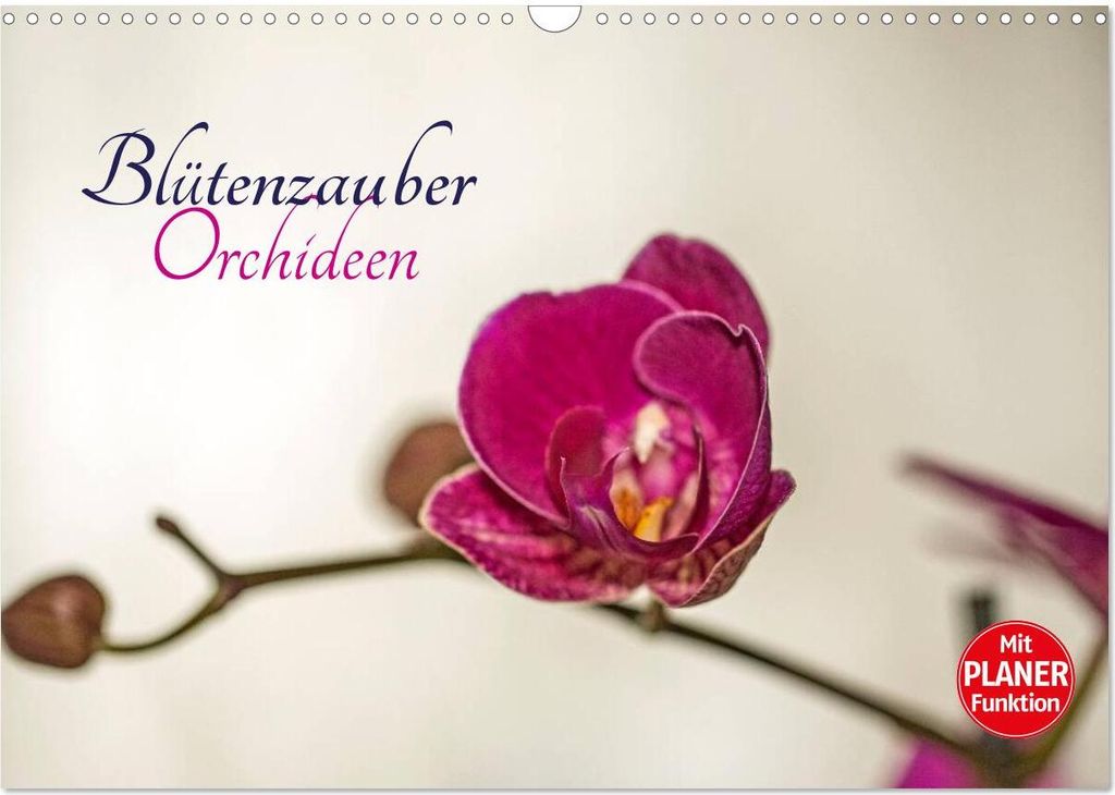 Blütenzauber Orchideen (Wandkalender 2026 DIN A3 quer), CALVENDO Monatskalender