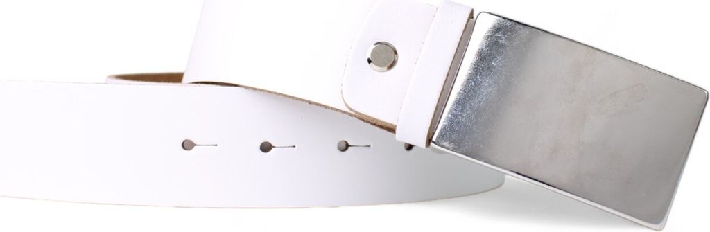 FRONHOFER Ledergürtel kürzbar, 3,8 cm breit, silberne Schnalle, extra Edelstahlschraube
