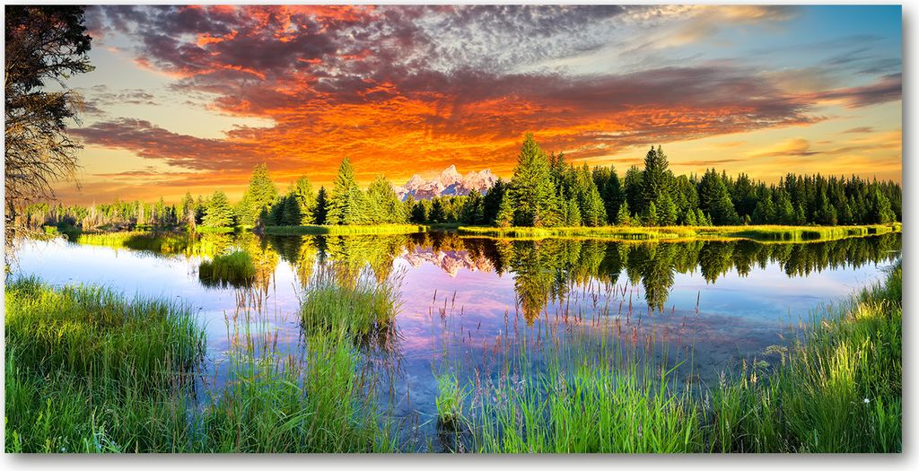 Tulup Glas-Bild - 100x50 -Wandkunst - Wandbild hinter gehärtetem Sicherheitsglas - Landschaften - Fluss im Wald - Mehrfarbig