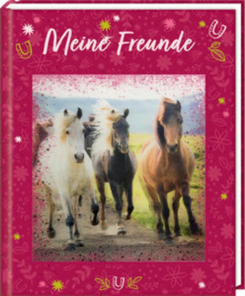 Freundebuch - Pferdefreunde - Meine Freunde Produktbild 