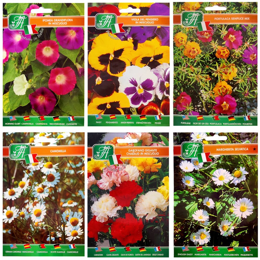Sommerfarben Mix – Samenpackung – 6 Sorten – Kamille, Gartennelke, Gänseblümchen, Veilchen, Portulak, Ackerwinde