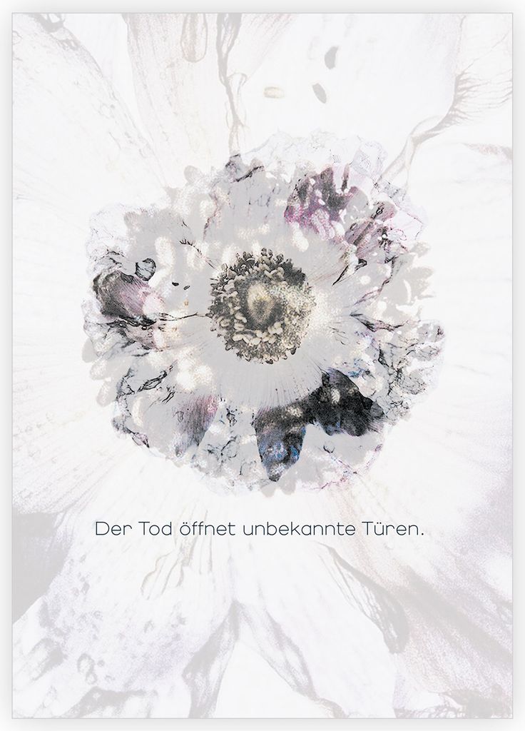 4x Stilvolle Kondolenzkarte mit Blüte: Der Tod öffnet unbekannte Türen