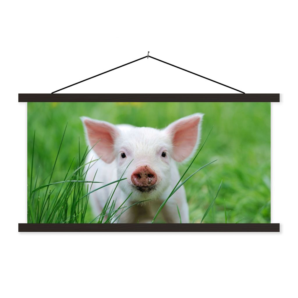 MuchoWow Textilposter Schwein - Tiere - Groß 150x75 cm mit schwarzem Rahmen - Posterleiste