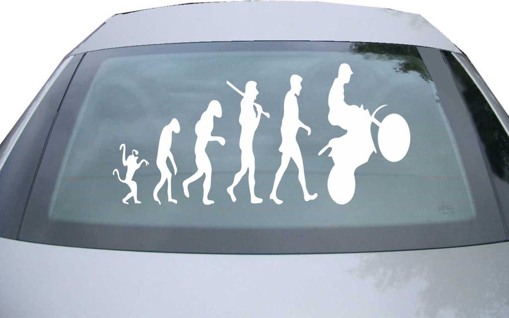 Indigos UG - Aufkleber Heckscheibe & Motorklappe DE6286 - weiß - 600x285 mm - human evolution - Auto Scheiben Fenster Heckklappe Tuning Racing JDM...