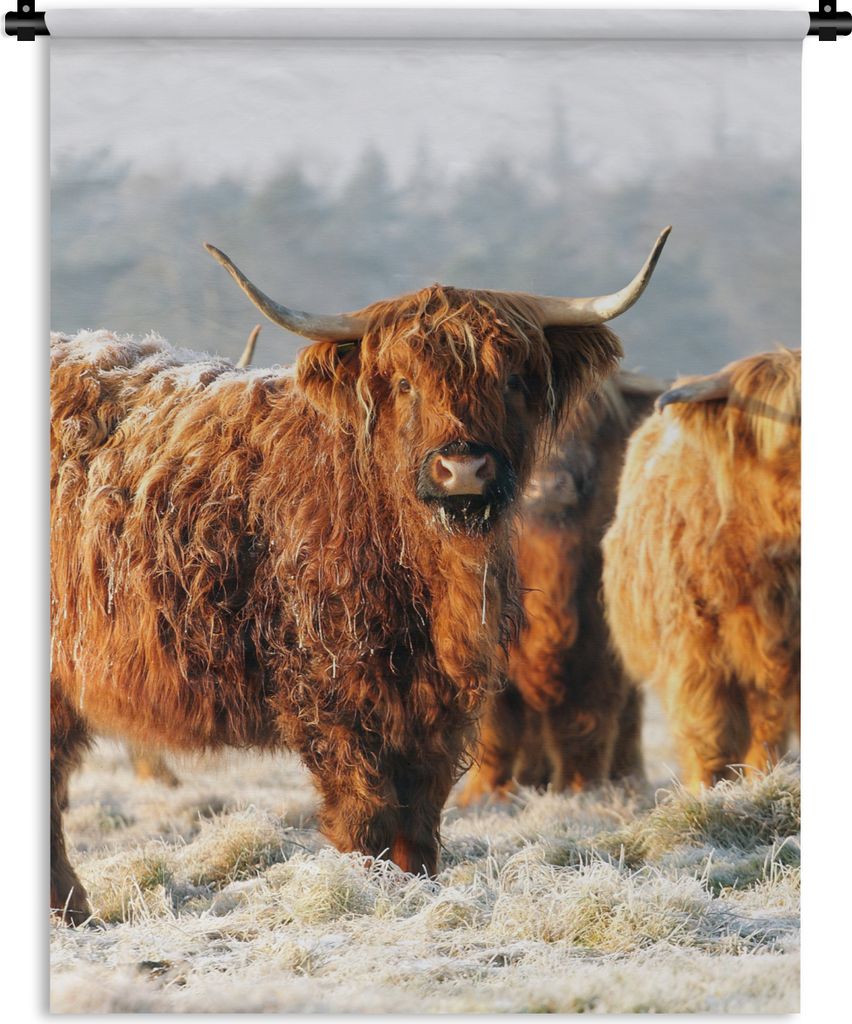 MuchoWow Wandteppich Wandbehang Schottische Highlander - Schnee - Wald 150x200 cm Tapisserie Dekoration Wandtuch - Wandaufhängung - Moderner