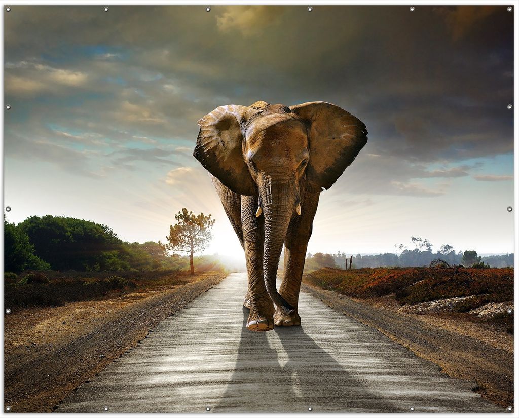 Wallario XXL Outdoor-Poster für Garten oder Balkon, Motiv Elefant bei Sonnenaufgang in Afrika, in ca. 250 x 200 cm