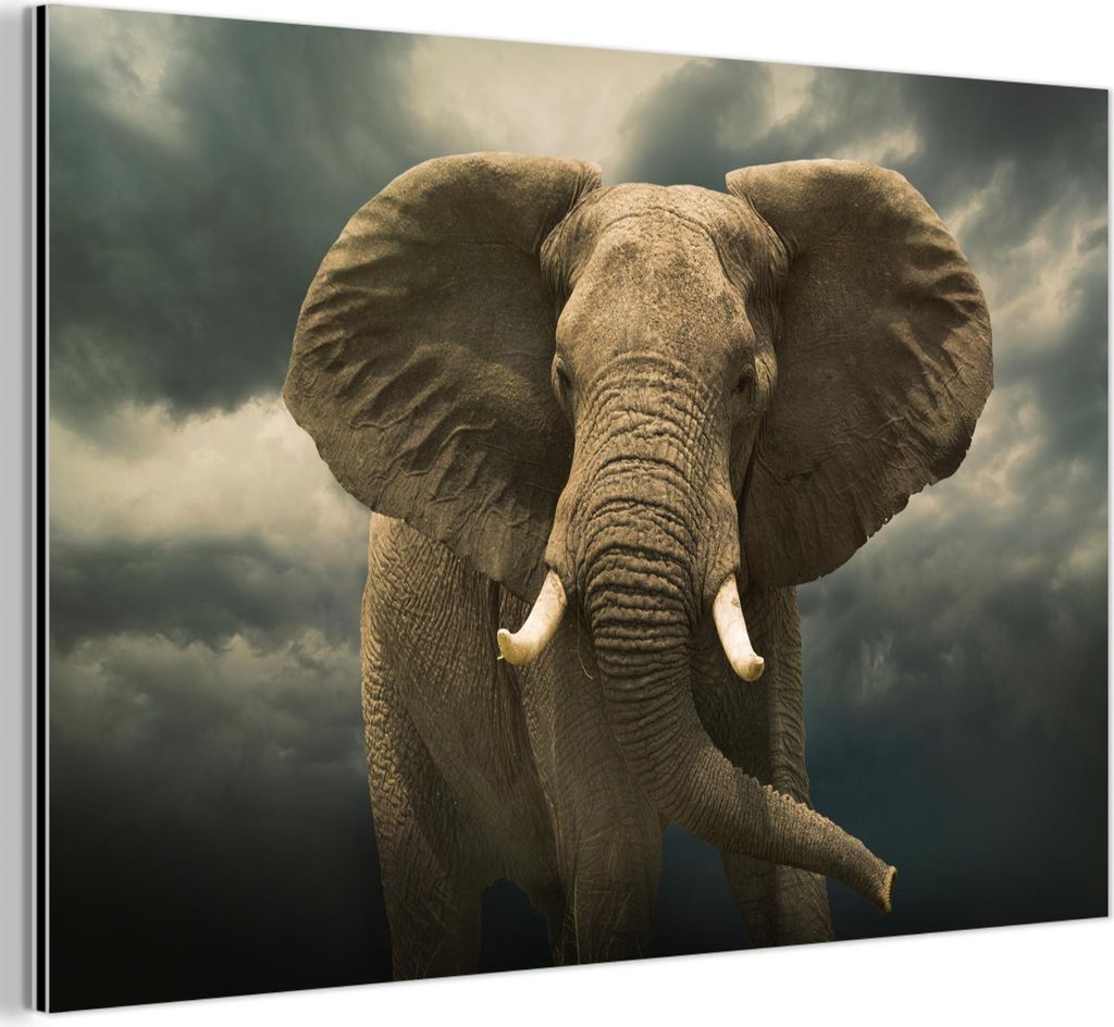 MuchoWow Wanddekoration Metall Metallbild Wandkunst 30x20 cm Afrikanischer Elefant gegen die dunklen Wolken MuchoWow Aluminium Gemälde - Aluminium...