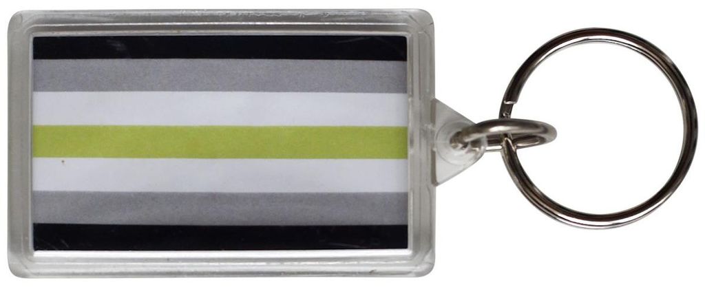 Robuster leichter Schlüsselanhänger mit Agender Flagge, für Schlüsselbund, 5x3 cm
