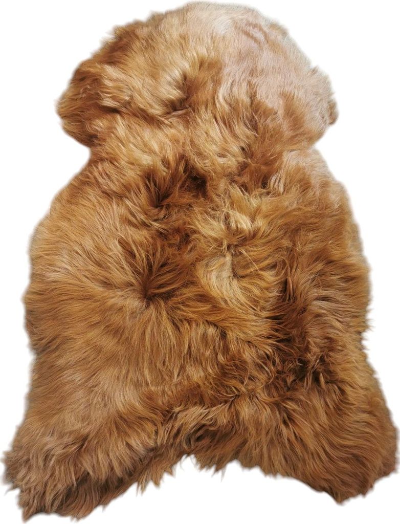 TOP Schaffell | 140cm | Echtes Lammfell |Teppich Deko | Ginger / Gold-Braun | Sitzauflage.Größe:100cm - 110cm,Haar-Länge:Plüschig 5-10cm