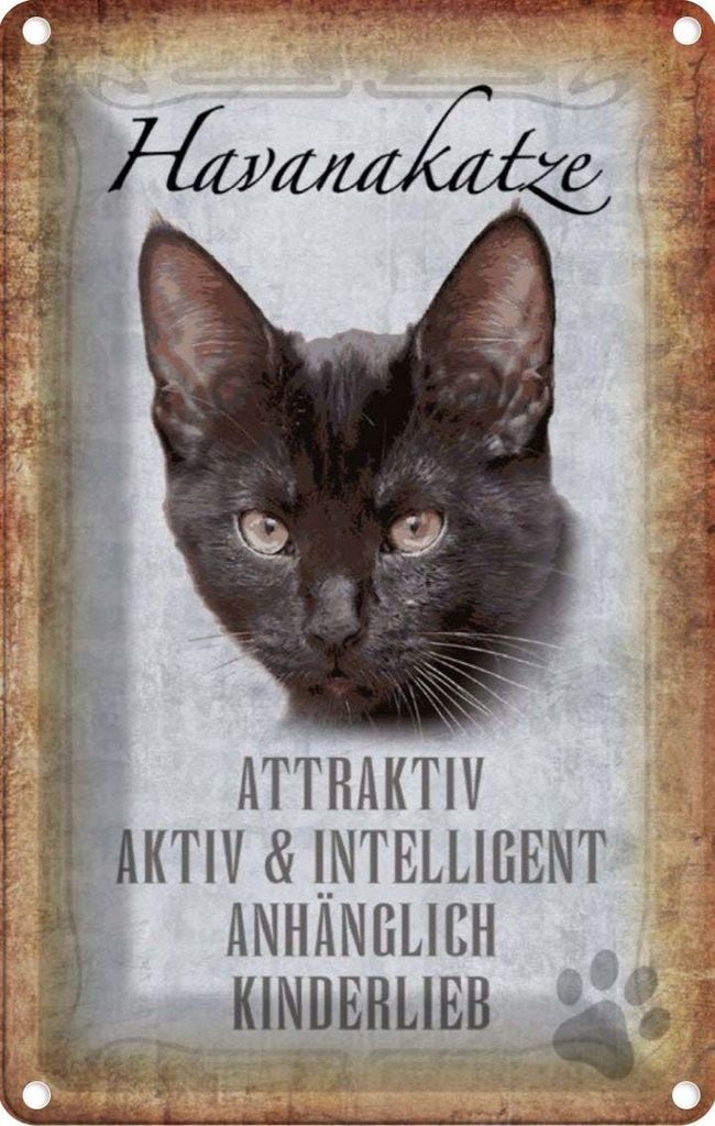 vianmo Blechschild 30x20 cm Havanakatze kinderlieb Tier Haustier Katze