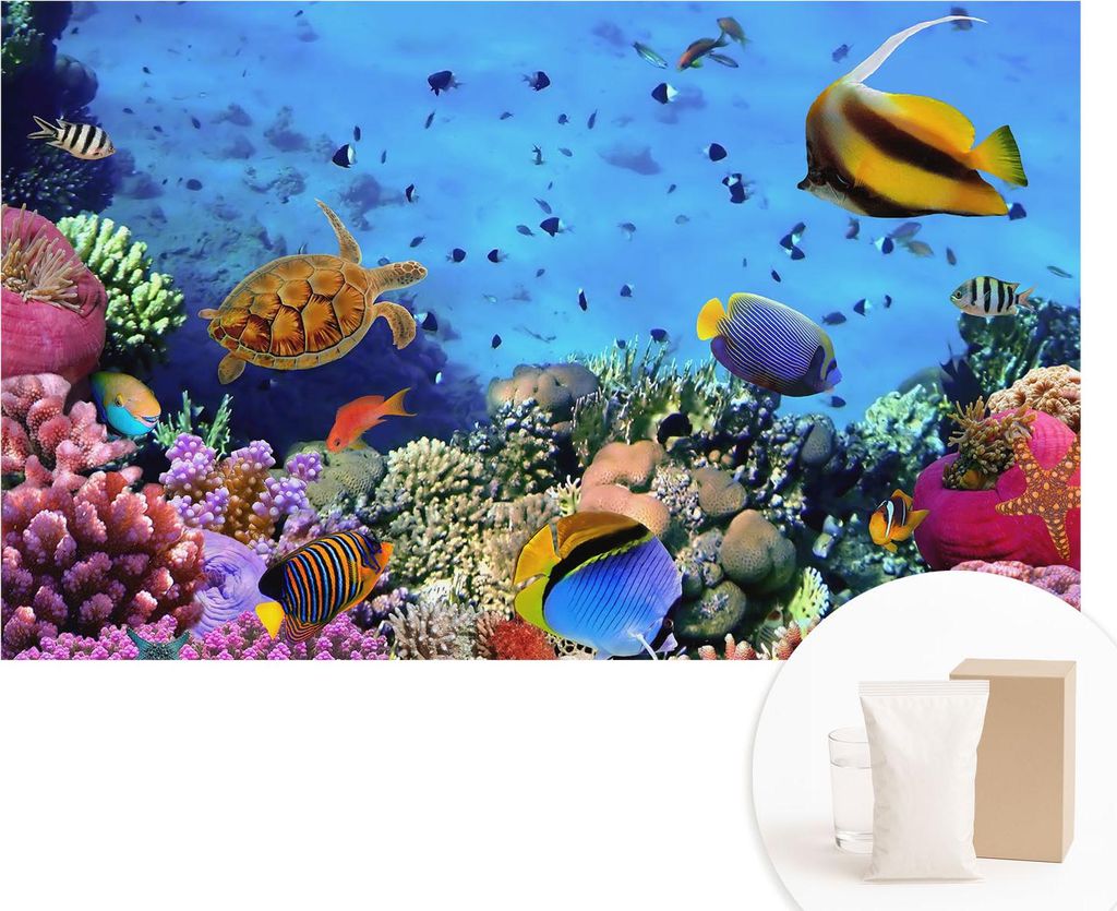 Fototapete - Wandbilder für Wohnzimmer - 416x254 - Dekorative Wandfolie - Modernes Design für Wanddekoration - Tapeten für Innenräume - Koralle...