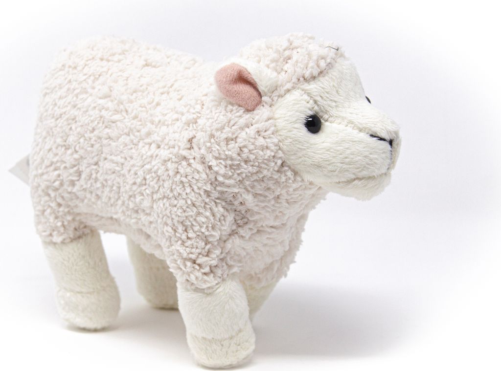 Cornelissen - Peluche - Pecora bianca - 19 cm Immagine del prodotto 