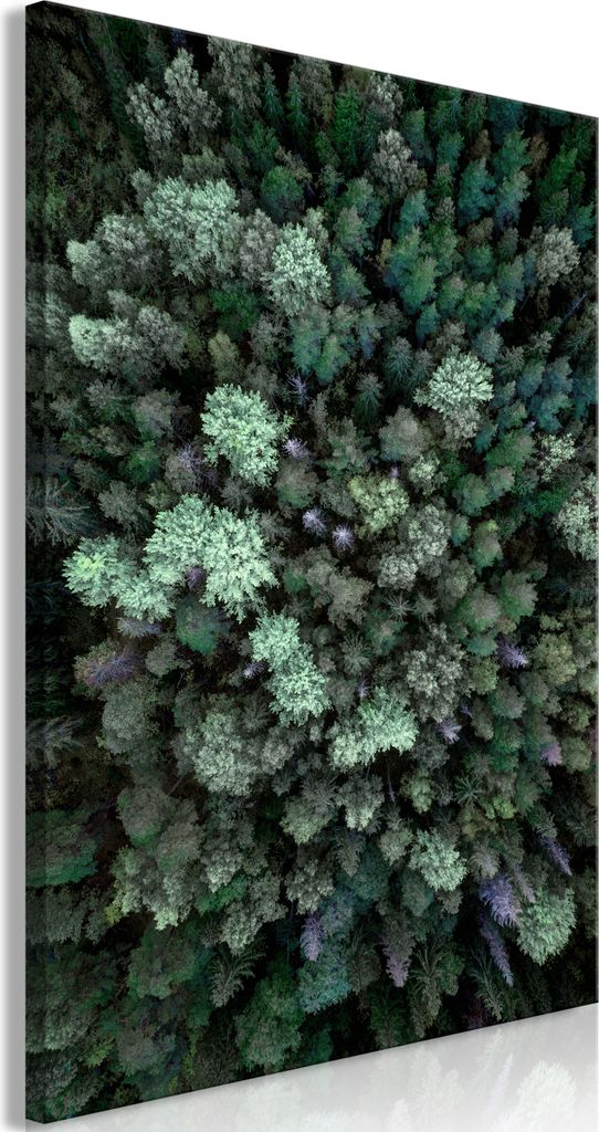 Vliesstoff Leinwandbild - Flying Over Forest (1 Part) Vertical 80x120 cm Landschaften b-B-0366-b-a