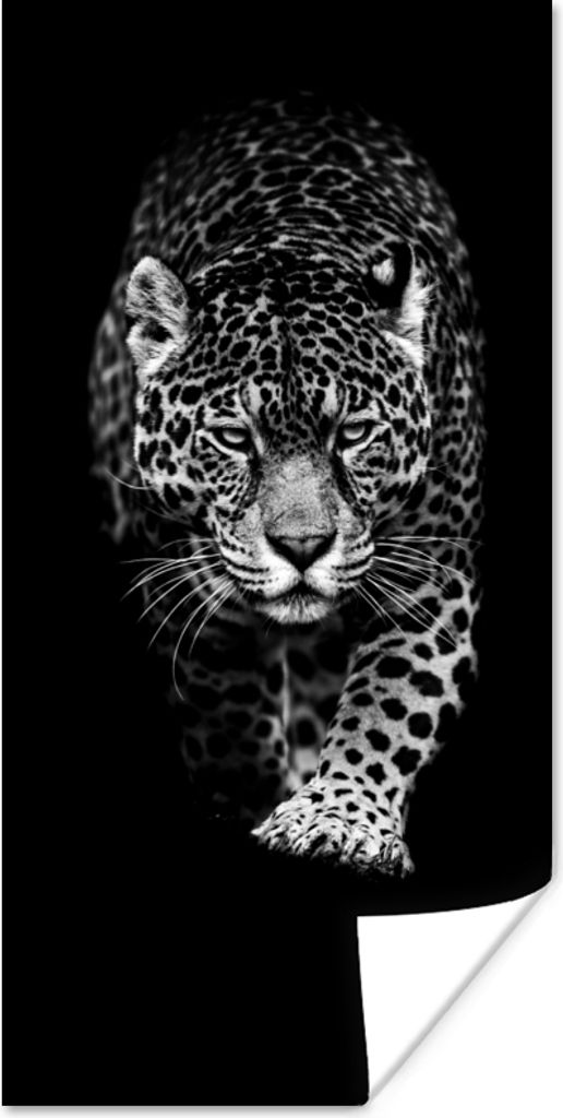 MuchoWow Poster Tiere - Schwarz - Leopard - Weiß - Wild 60x120 cm - Wandschmuck