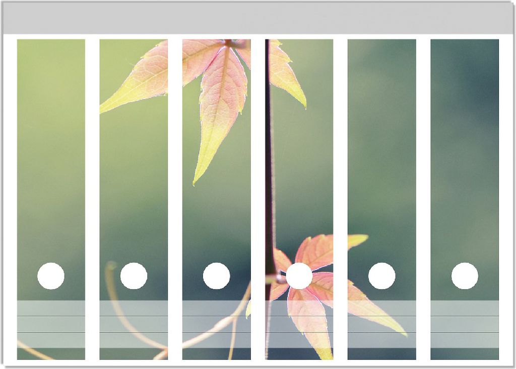 Wallario Ordnerrücken Sticker, selbstklebend für breite Ordner, 6 Stück, Motiv Herbstblume