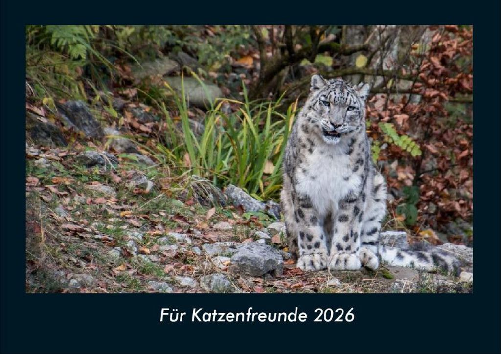 Für Katzenfreunde 2026 Fotokalender - Querformat DIN A4, Monatskalender mit Bild-Motiven von Haustieren, Bauernhof, wilden Tieren und Raubtieren