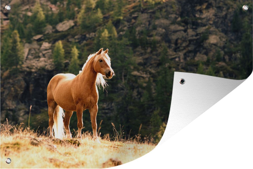 MuchoWow 60x40 cm Outdoor-Poster Gartendeko Sichtschutz Garten Poster für den Garten Haflingerpferd in den Bergen