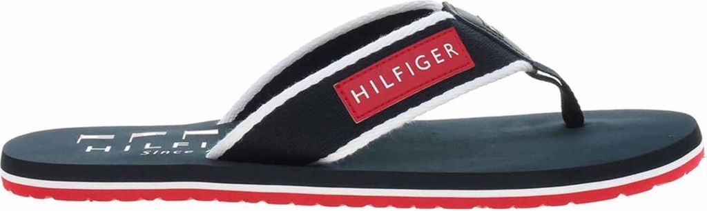 Tommy Hilfiger Patch Hilfiger Beach FM0FM05435DW5 (42/desert sky)