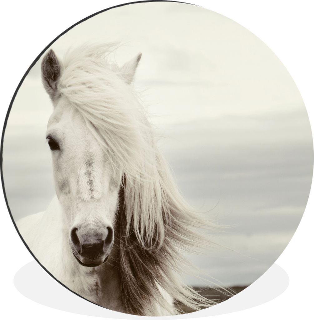 MuchoWow Aluminium Wandkreis Pferd - Strand - Mähne Ø 30 cm Wanddeko Modern Wohnzimmer - Wand Bild - Wohnzimmer - Runde Bilder - Alubilder - Ku...