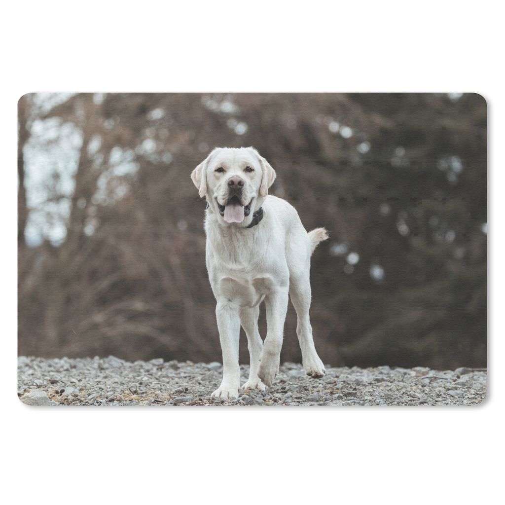 MuchoWow Mauspad Mousepad Ein weißer Labrador Retriever auf den Steinen 27x18 cm - Mousepads - Maus Mat - Pad - Mausunterlage - Büroartikel - D...