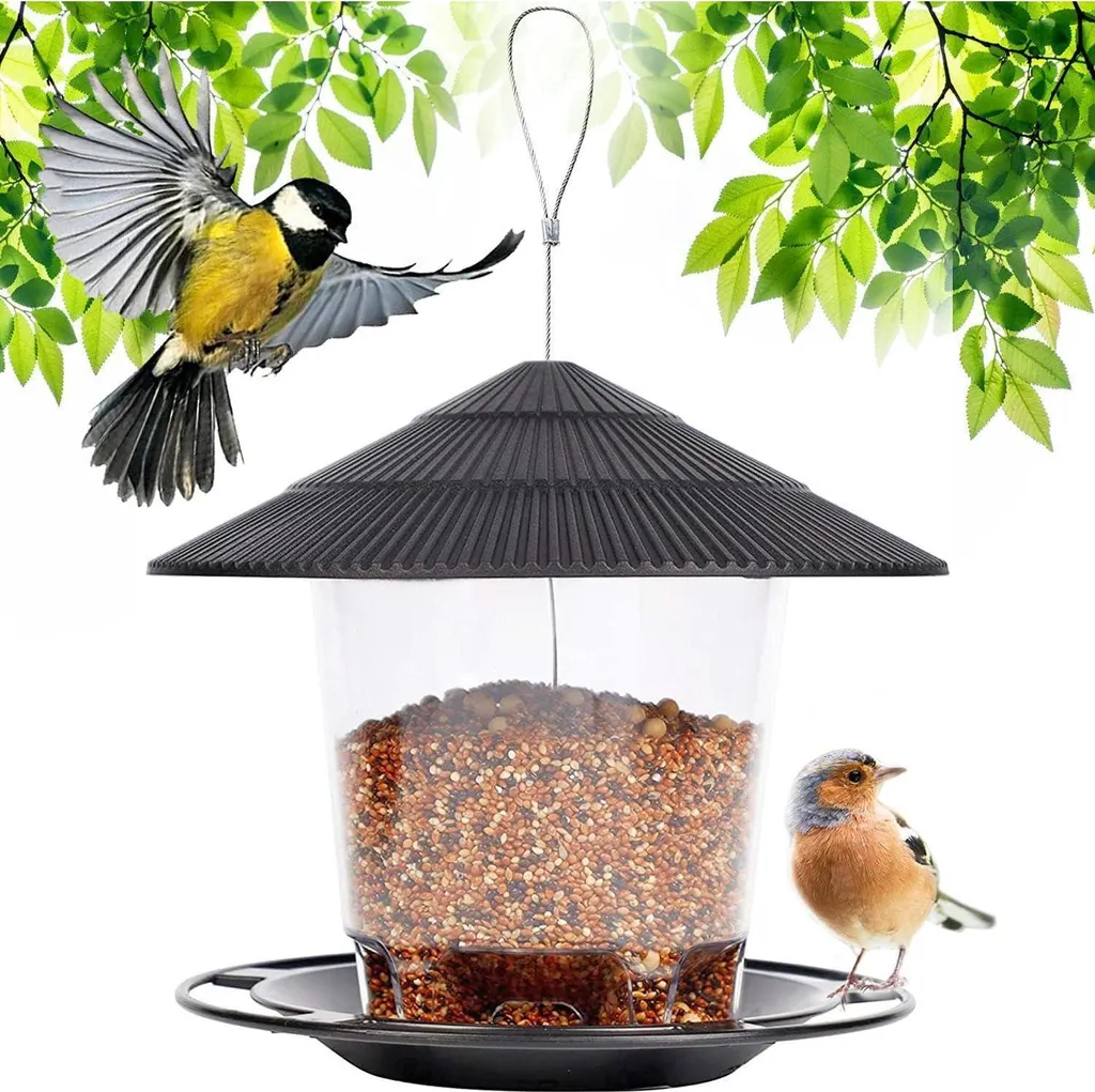 Distributeur de graines transparent pour oiseaux du jardin à suspendre