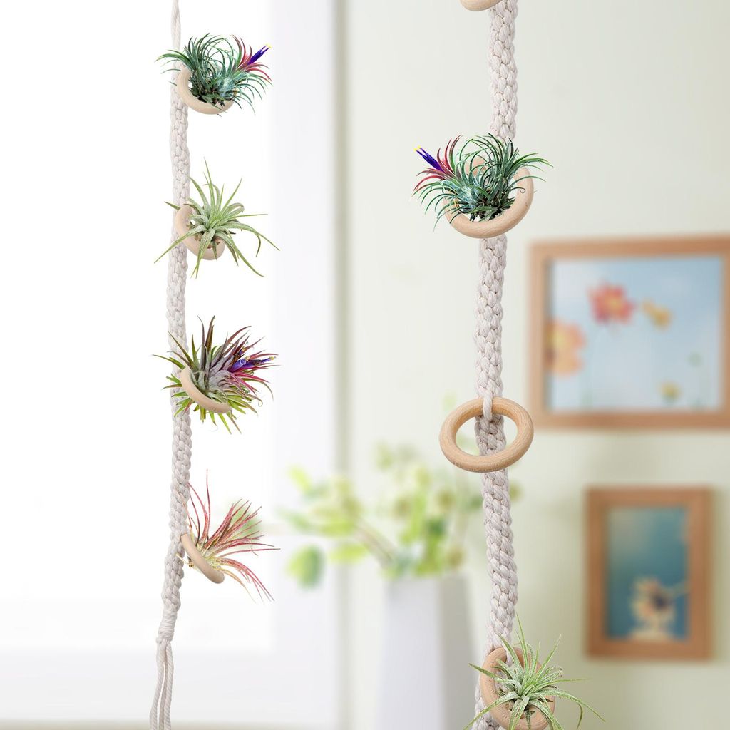 Hängende Luftpflanzenhalter Hängende Luftpflanzenhalter Tassel Plant Hanger Tissue Weave Hanging Garden Tool