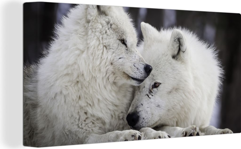 MuchoWow - Leinwandbilder - Wölfe - Schnee - Familie, Wandbild, Wanddeko Bilder Wohnzimmer, 80x40 cm