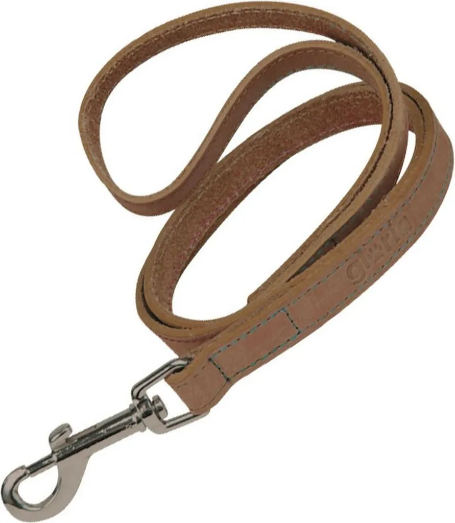 Guinzaglio per cani Gloria Oasis 2,1 x 100 cm Marrone