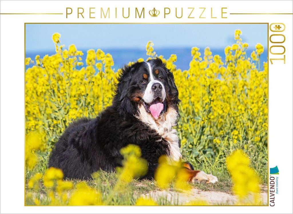 CALVENDO Puzzle Berner Sennenhund auf dem Weg durch die Produktbild 