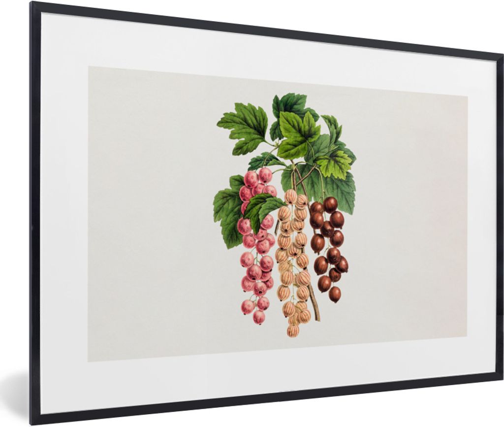MuchoWow Gerahmtes Poster Lebensmittel - Beeren - Pflanze 90x60 cm - Poster mit Schwarzem Bilderrahmen Wandposter Rahmen Foto Bilder - Fotorahmen...
