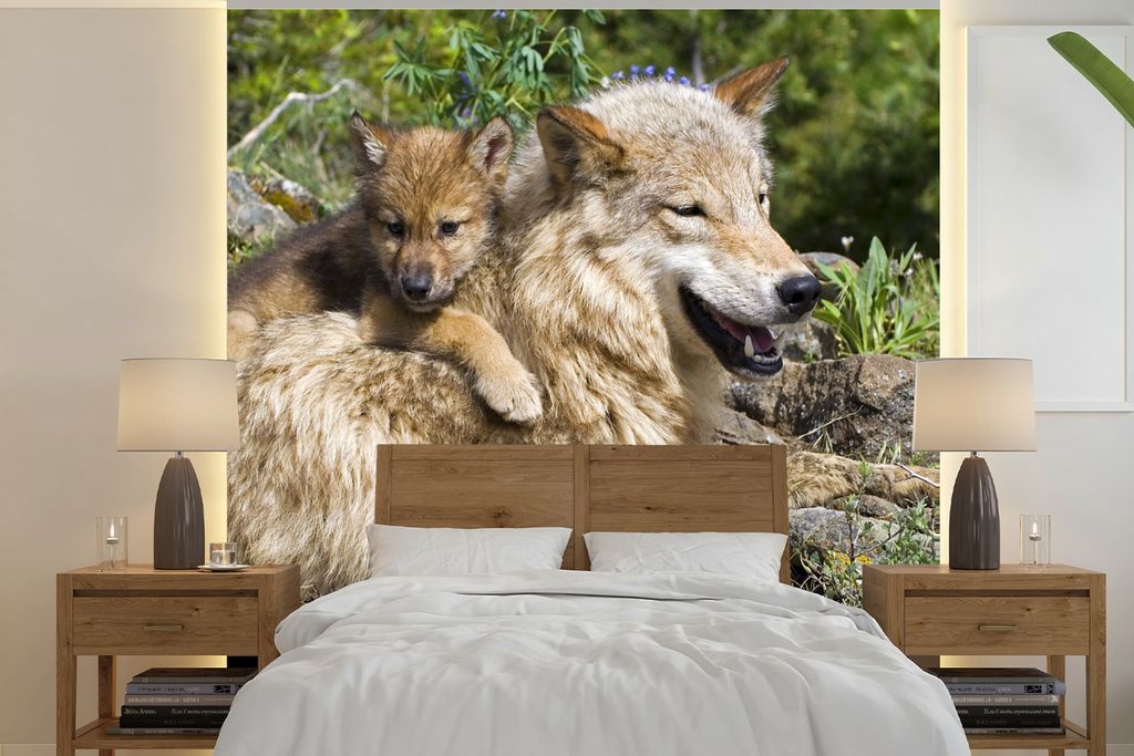 MuchoWow Fototapete für Wohnzimmer oder Schlafzimmer Wandtapete Vinyl Motivtapete Wolf - Jungtier - Tier - 280x280 cm - Hintergrundbild