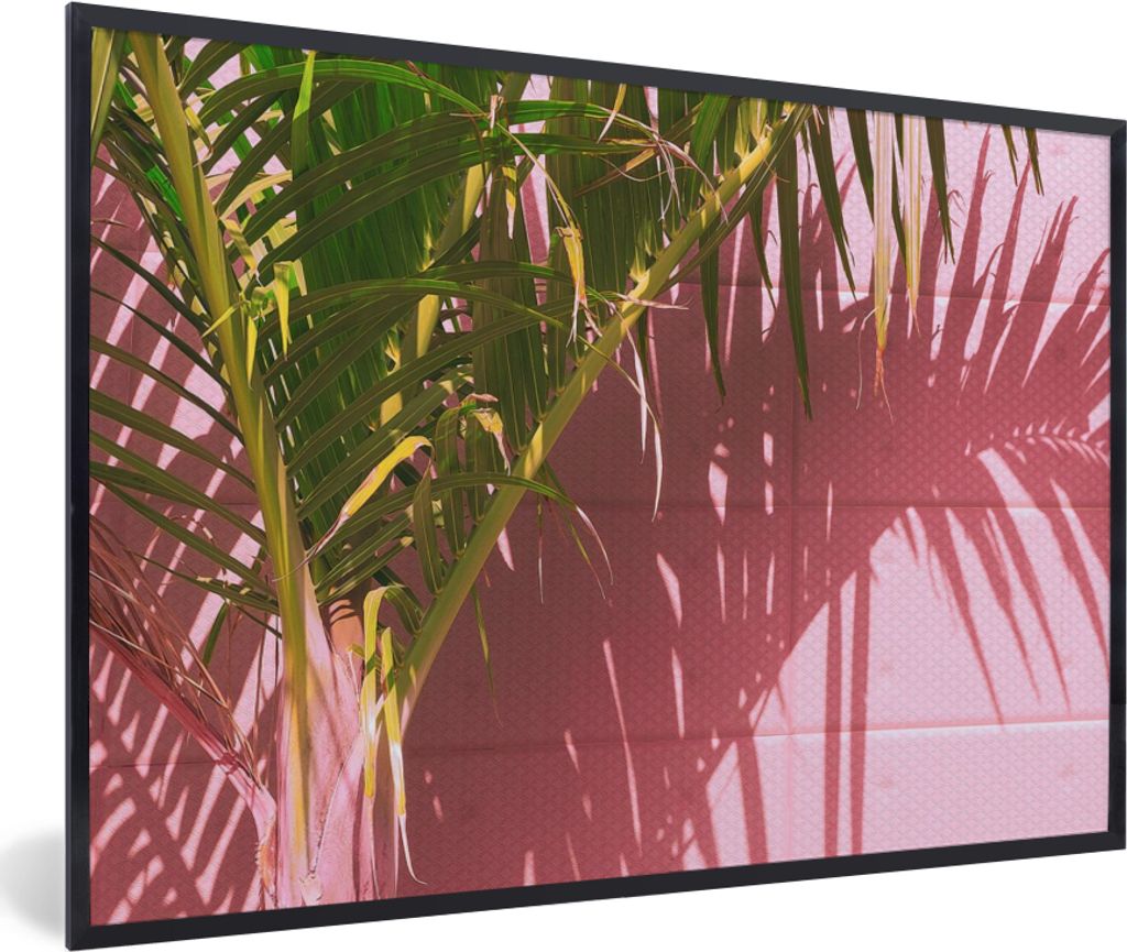 MuchoWow Gerahmtes Poster Pflanze - Sommer - Tropisch - Rosa 60x40 cm - Poster mit Schwarzem Bilderrahmen Wandposter Rahmen Foto Bilder - Printin...
