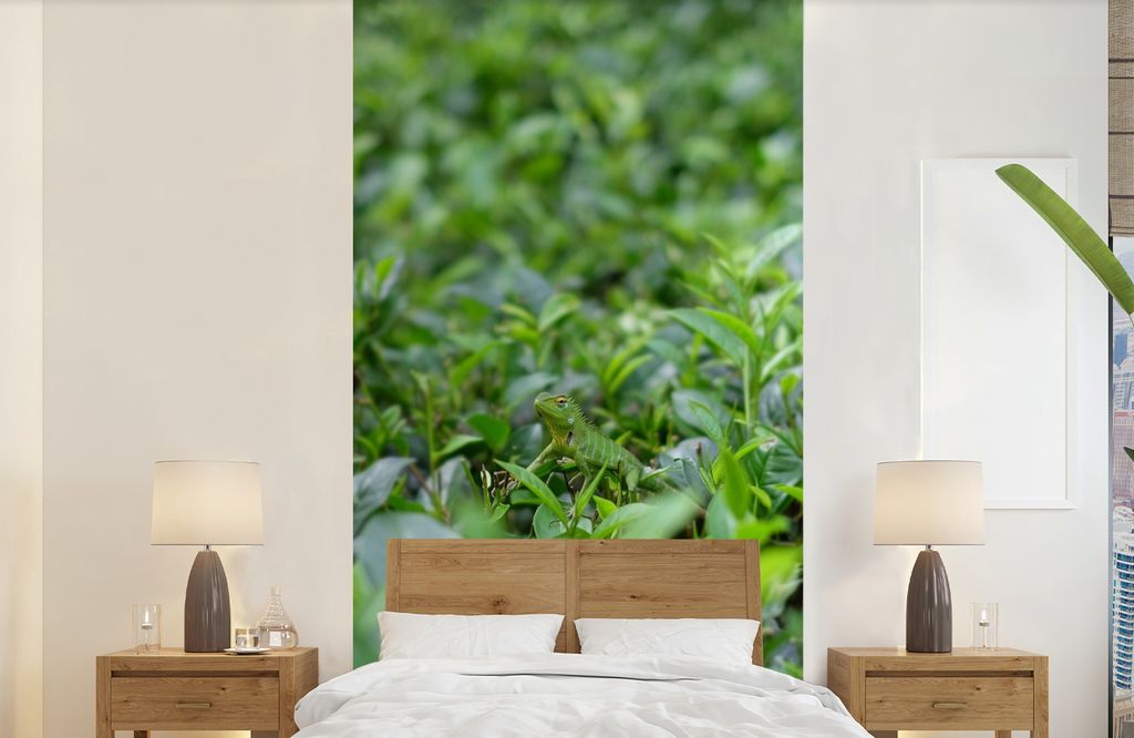 MuchoWow Fototapete für Wohnzimmer oder Schlafzimmer Wandtapete Vinyl Motivtapete Grünpflanzen auf tropischem Boden - 120x240 cm - Hintergrundbild