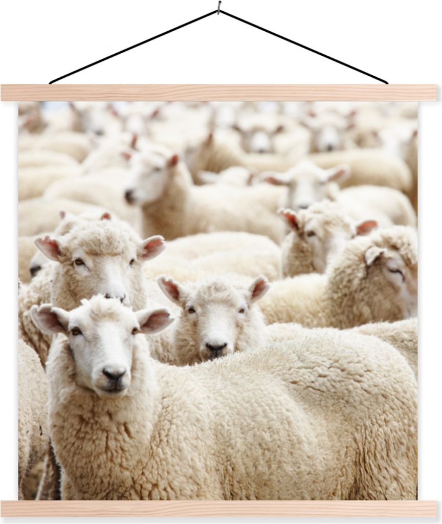 MuchoWow Textilposter Schafe - Wolle - Weiß 120x120 cm mit holzfarbenen Rahmen - Textil-Poster