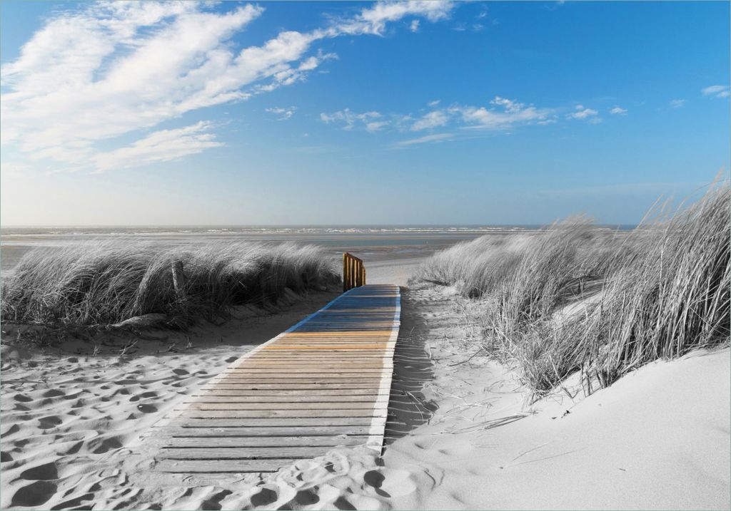 Wallario selbstklebendes Poster - Auf dem Holzweg zum Strand in schwarz-weiß Optik, Größe: 70 x 100 cm