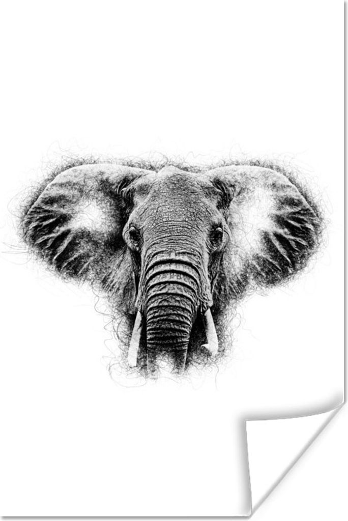 MuchoWow Poster Elefant - Schwarz - Weiß - Tasse 80x120 cm - Papierdruck