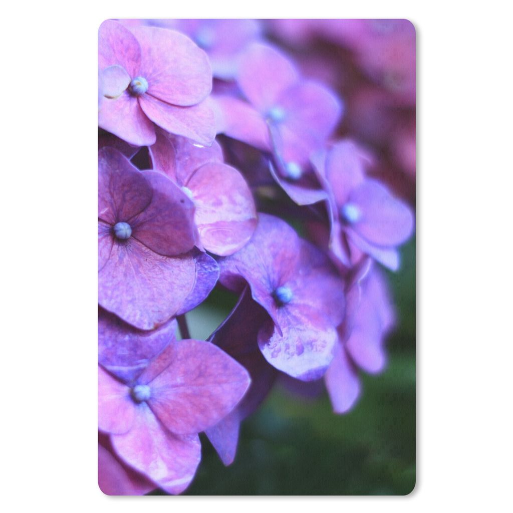 MuchoWow Mauspad Mousepad Blumen - Lila - Hortensie - Natur - Blütenblätter 18x27 cm - Mousepads - Maus Mat - Pad - Mausunterlage