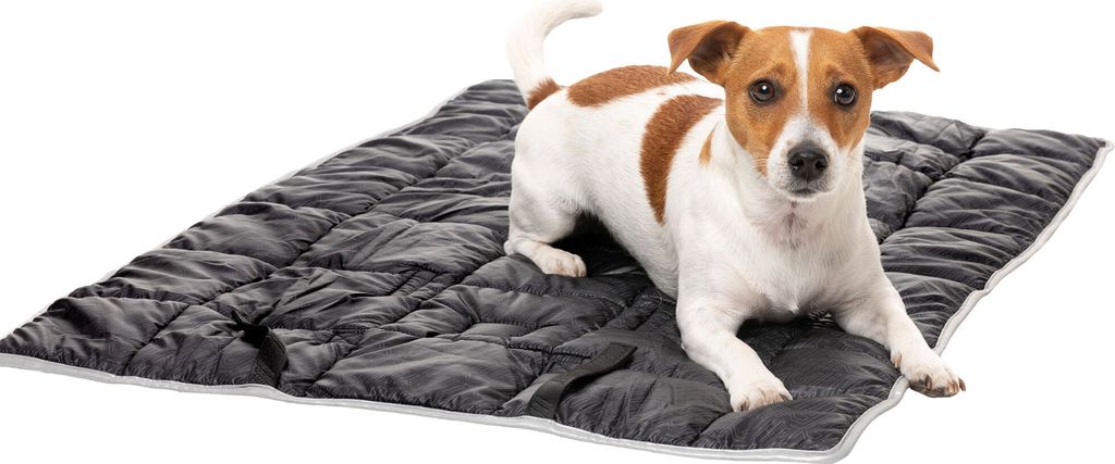 FuzzYard Active Roll-Up Hunde Reisematte 90x 60 cm