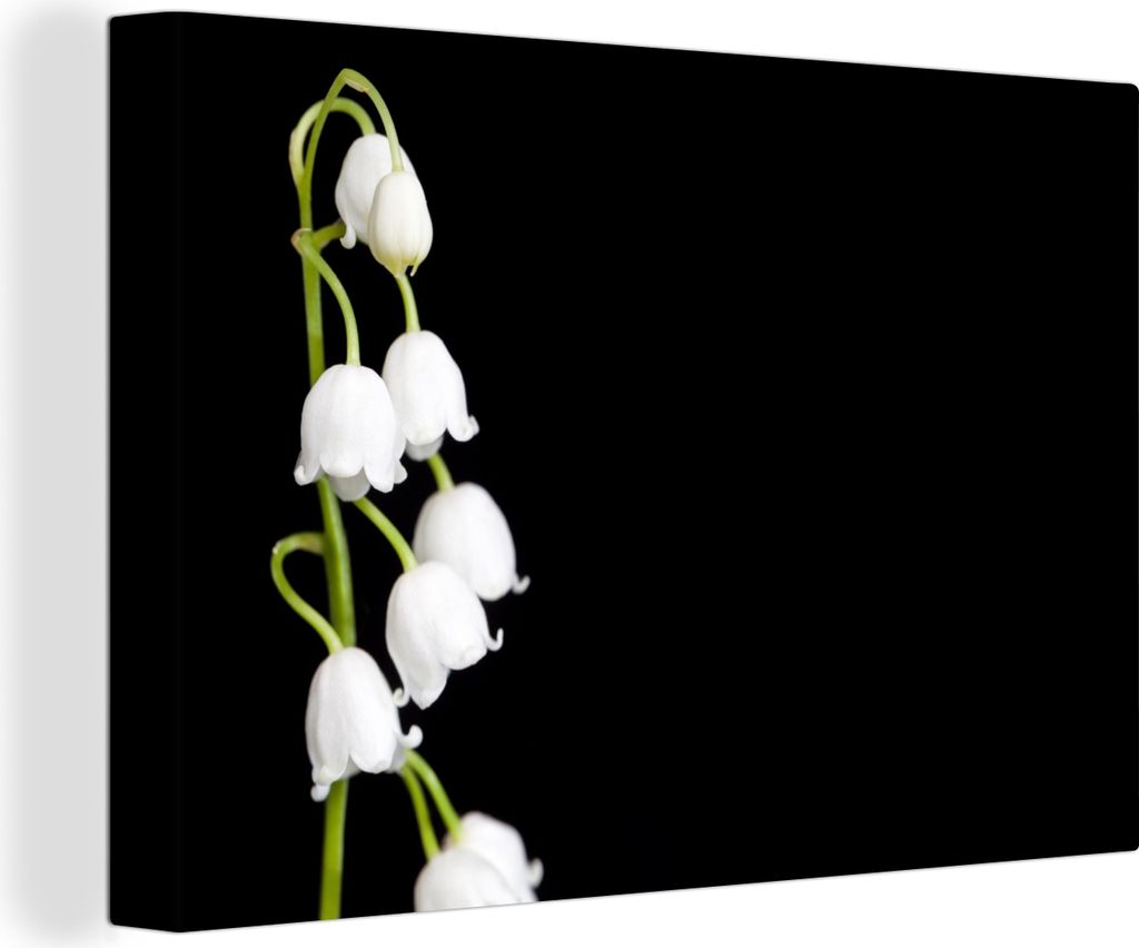 OneMillionCanvasses - Leinwandbilder - 140x90 cm, Maiglöckchen - Blumen - Schwarz - Flora, Wandbilder Kunstdruck Wanddekoration - Foto auf Leinw...