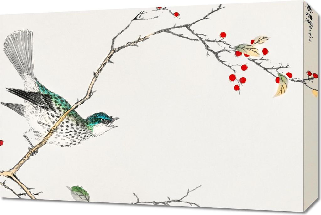 Bild 60x40cm Braunkopf-Bulbul, Kashu Vintage für das Wohnzimmer