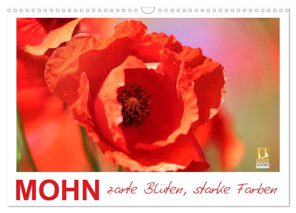 Mohn, zarte Blüten, starke Farben (Wandkalender 2027 DIN A3 quer), CALVENDO Monatskalender