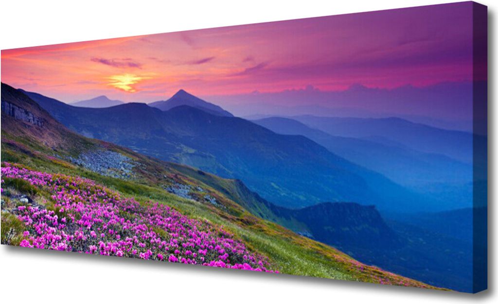Tulup Leinwand-Bilder 125x50 Wandbild Canvas Kunstdruck Gebirge Wiese Blume Landschaft