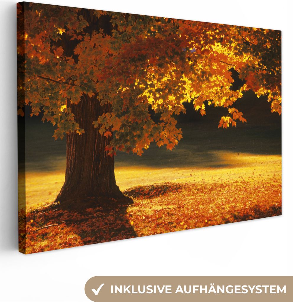 OneMillionCanvasses - Leinwandbilder - 150x100 cm, Ein Ahornbaum im Herbst, Wandbilder Kunstdruck Wanddekoration